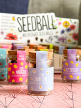 Load image into Gallery viewer, Wildflower Seed Jars Assortment (one picked at random)