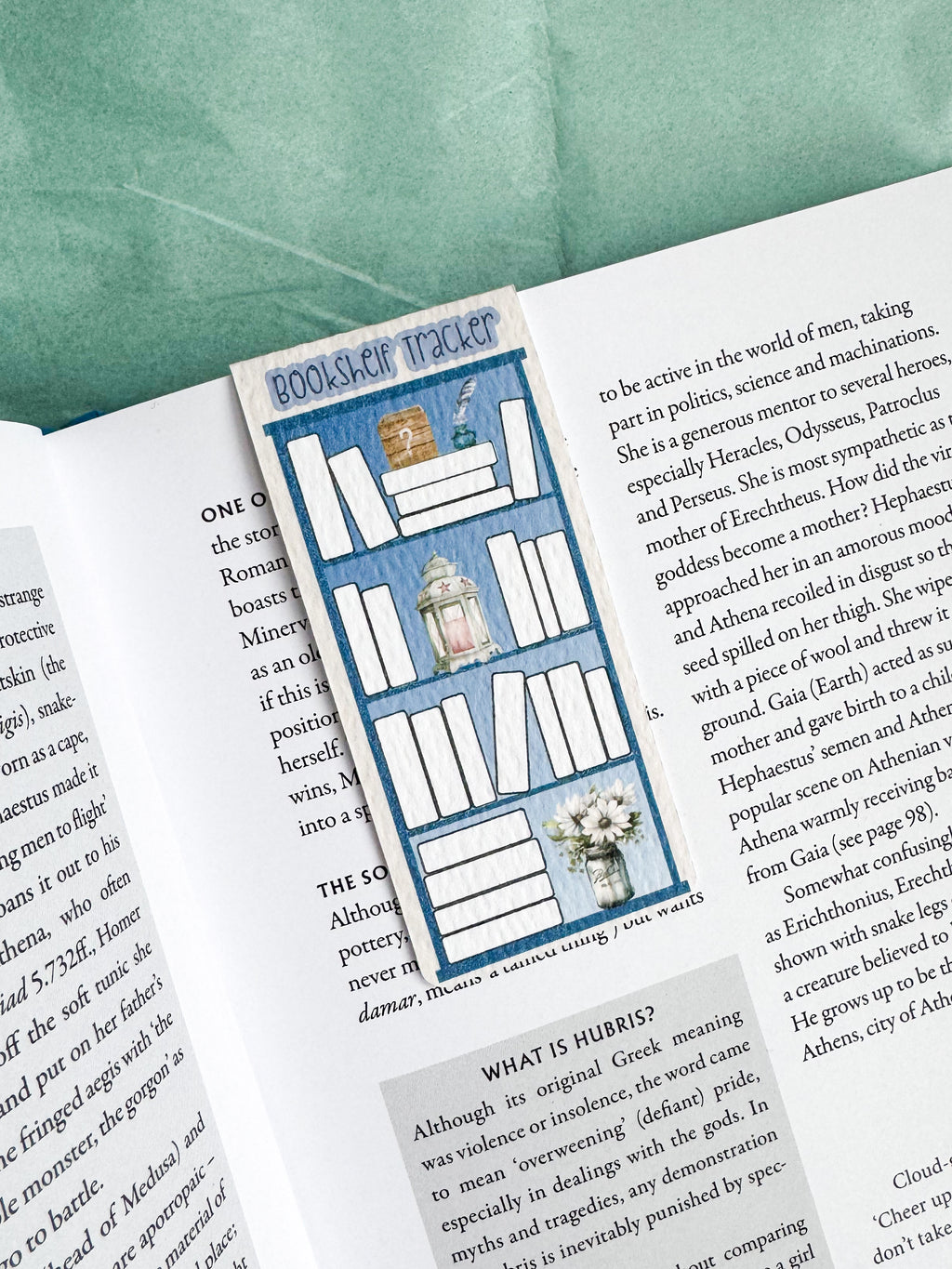 Magnetic Bookshelf Tracker Bookmark - Classic