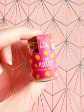 Load image into Gallery viewer, Wildflower Seed Jars Assortment (one picked at random)
